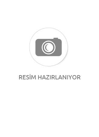 SİLİKONLU GRES 1 KG